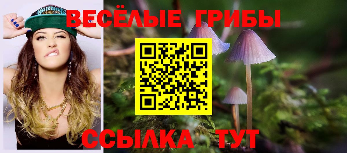 Узловая  Псилоцибиновые грибы Magic Shrooms  Вход с VPN  Галлюциногенные грибы Psilocybe 